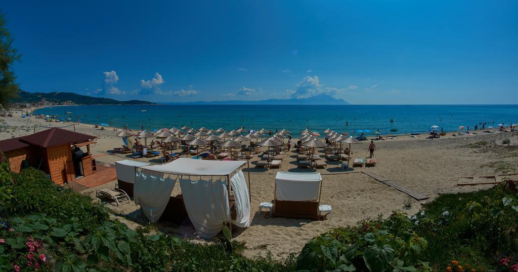 Paradise * Sarti